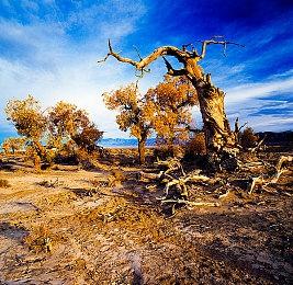 神罗追捕失败 《最终幻想7》赤红13逃到日本大街